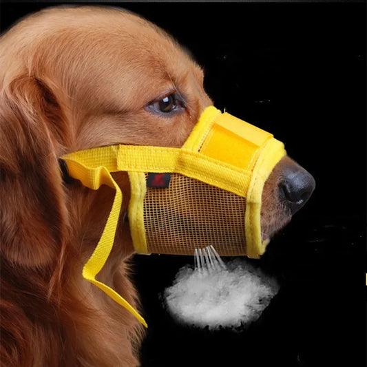 PawsitiveSilence Pro